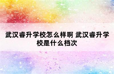 武汉睿升学校怎么样啊 武汉睿升学校是什么档次